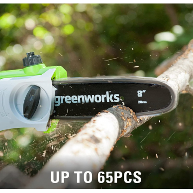 Greenworks G24PSHK2 AUKŠTAPJOVĖS IR GYVATVORIŲ GENĖTUVO KOMPLEKTAS (24V su 2Ah akumuliatoriumi ir krovikliu) 2